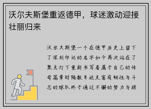 沃尔夫斯堡重返德甲，球迷激动迎接壮丽归来
